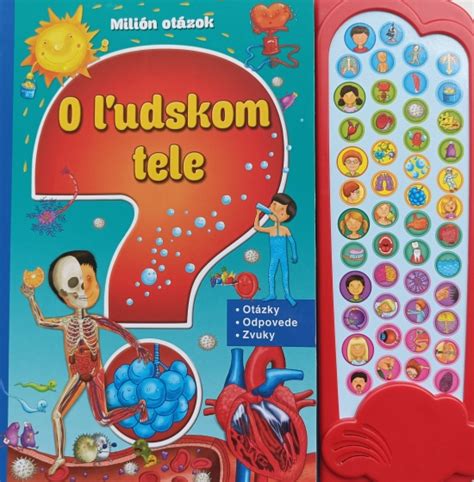 Ilustrácia predisponovaných miest pre vznik dekubitov na ľudskom tele