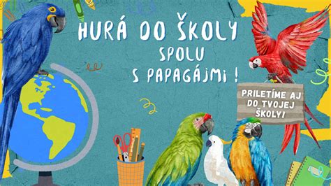 Prehľad typov sociálnych služieb