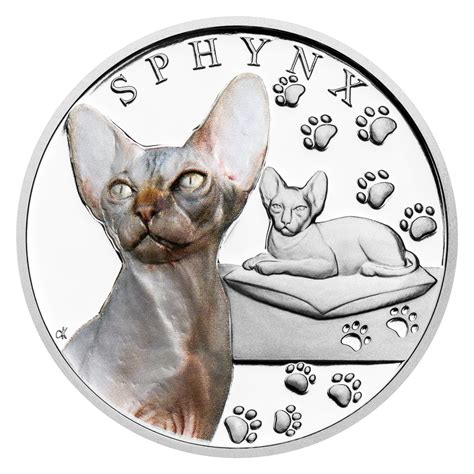 Porovnanie rôznych typov mačiek Sphynx