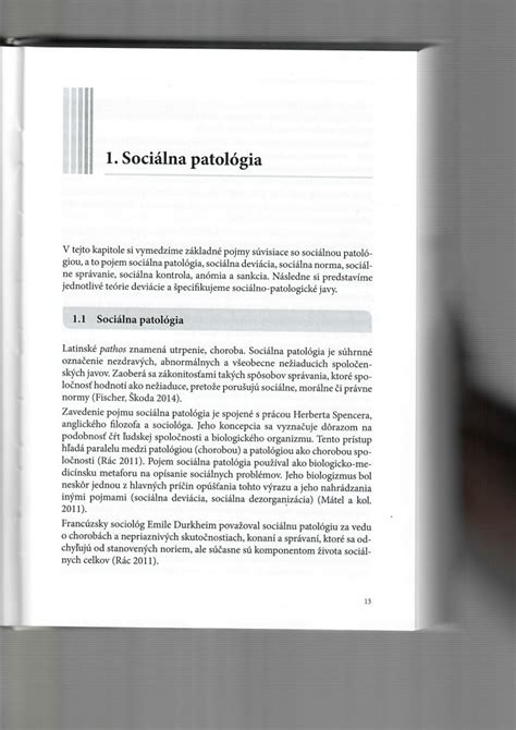 Sociálna patológia a jej prejavy