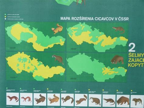 Mapa rozšírenia burín v trávniku