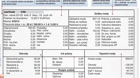 Výplatná páska a zamestnanec