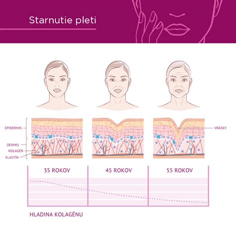Infografika o význame kolagénu pre kĺby psov