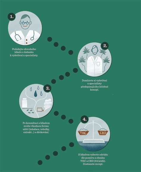 Infografika: Cesta k povolaniu advokáta
