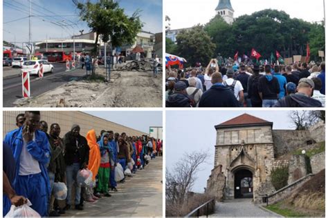 Rozdiel medzi utečencom, žiadateľom o azyl a migrantom