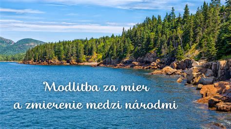 Didier Le Mar fotografia - Modlitba za mier s knihami a mačkou