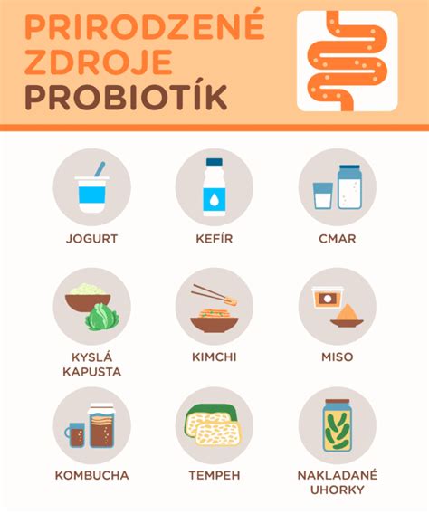 Ilustrácia fermentovaných potravín ako sú jogurt, kefír a kombucha