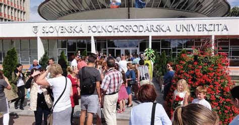 Ilustrácia seniorov študujúcich na univerzite