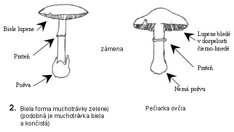 rozdiel medzi hnuteľnými a nehnuteľnými vecami