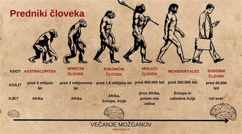 Ilustrácia: Evolúcia človeka od mladosti k starobe a jej vplyv na adaptačné schopnosti