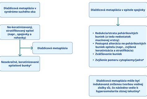 Diagram: Proces prestupu medzi fondmi DDS