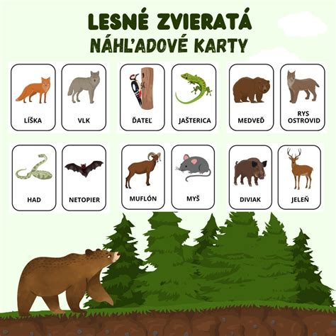 Lesné zvieratá v ich prirodzenom prostredí