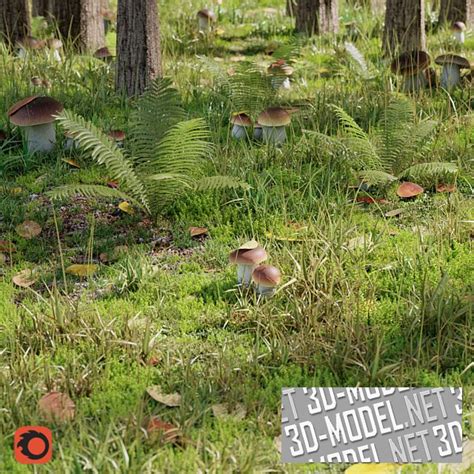 3D model zimného lesa s medveďou jaskyňou a jazvečou norou