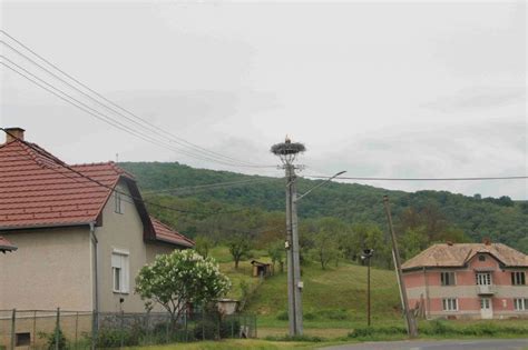 Fotografia: Optický kábel na stĺpe elektrického vedenia