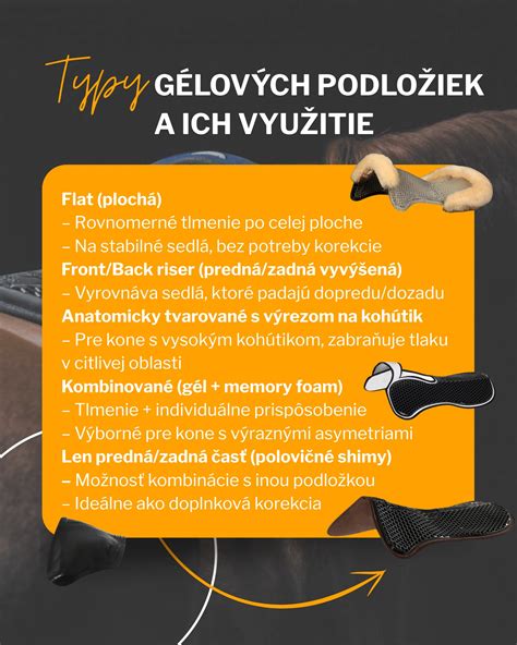 Typy schodolezov a ich využitie