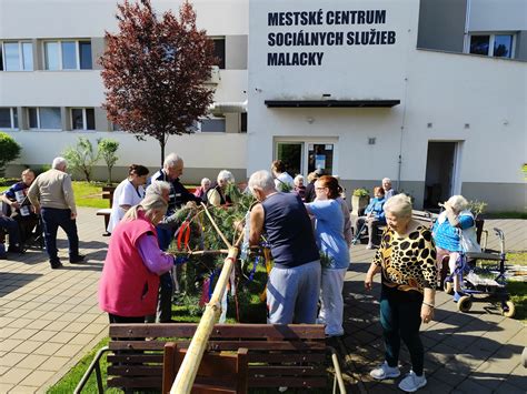 Mestské centrum sociálnych služieb Malacky