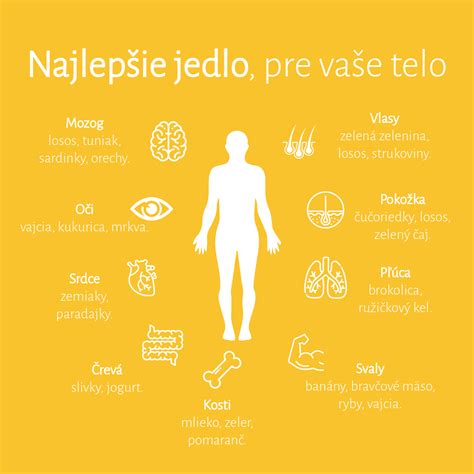Chronologický prehľad starostlivosti o telo v histórii