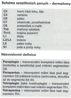 Ilustrácia postihnutia miechy a jeho dôsledkov