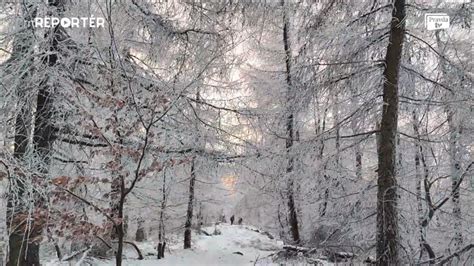 Snehová krajina v Sierra Nevada