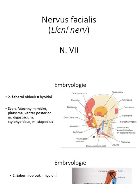 Diagnostické metódy pri paréze nervus facialis