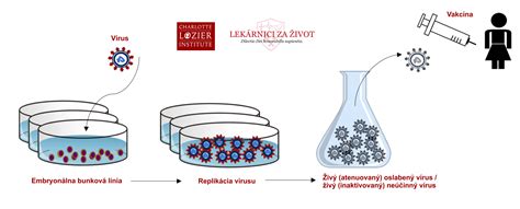 Rôzne typy Petriho misiek a misiek na bunkové kultúry