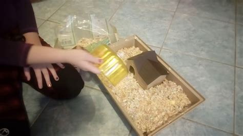 Čistenie klietky s mláďatami škrečka