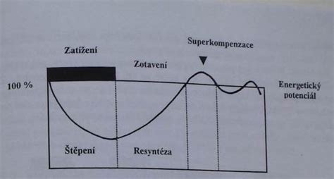 Krivka superkompenzácie