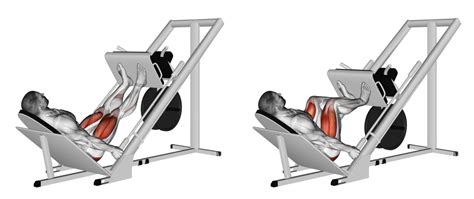 Cvik leg press