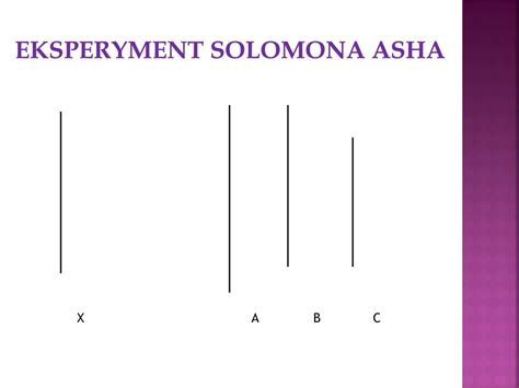 Experimenty Solomona Ascha