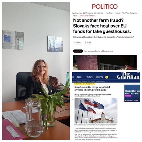 Koncepcia sociálneho štátu - pohľad na systémové zlyhania