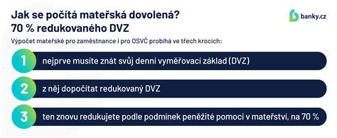 Výpočet DVZ
