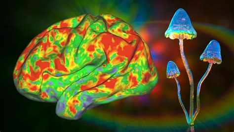 Schéma štruktúr najznámejších halucinogénnych látok (LSD, psilocybín, meskalín, DMT) s krátkym popisom ich pôvodu.