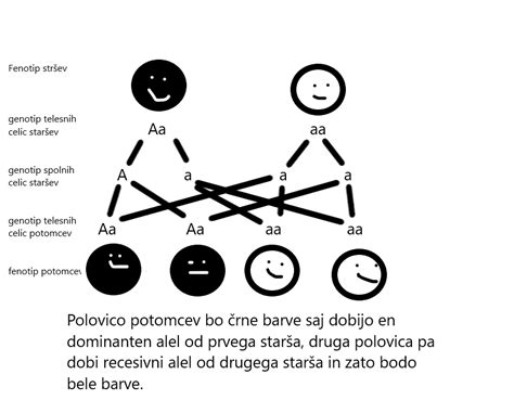 Schéma dedičnosti recesívnych alel v príbuzenských vzťahoch