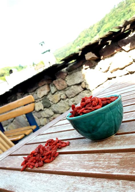 Tvarovanie Goji na opore alebo mreži
