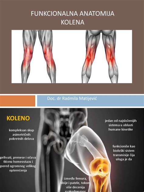 Schéma chondroplastiky kolena