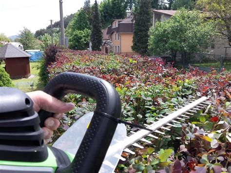 Nástroje na strihanie živého plota