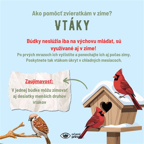 Grafika s typmi pomoci vtákom v zime (kŕmenie, úkryt, voda)