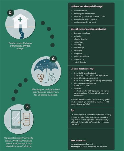 Infografika: Cesta k špecializácii v zdravotníctve