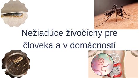 Nebezpečné prekážky v domácnosti