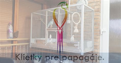 Ilustrácia vhodného vybavenia klietky pre papagája