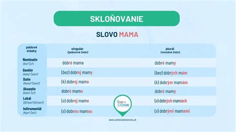 Screenshot z interaktívneho cvičenia na skloňovanie