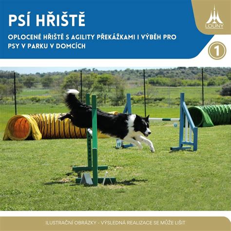 Športovci trénujúci s agility prekážkami