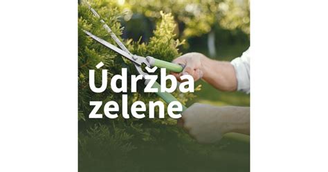 Príklady nesprávnej údržby zelene v mestskom prostredí