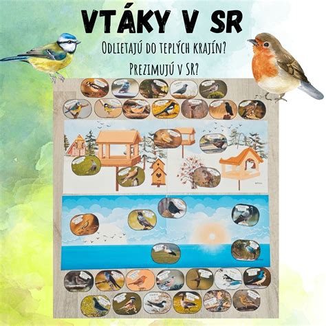 Ľudia oddychujúci a pozorujúci vtáky v mestskej mokradi