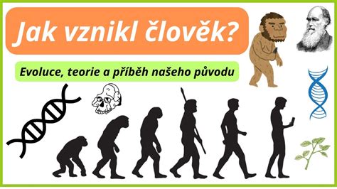 Vývinové etapy človeka