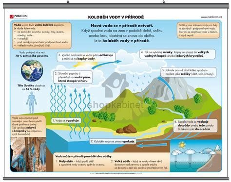 Infografika: Kolobeh informácií a rozhodovania konateľa