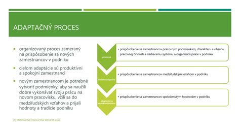 Proces sociálno-psychickej adaptácie