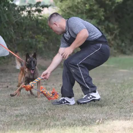 Basenji počas výcviku poslušnosti