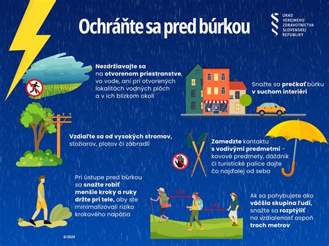Basenji behajúci na otvorenom priestranstve