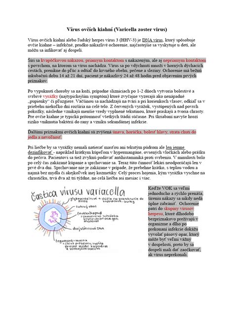 Typická vyrážka ovčích kiahní